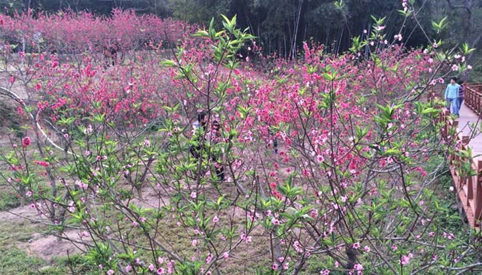 LED線條燈 LED線條燈